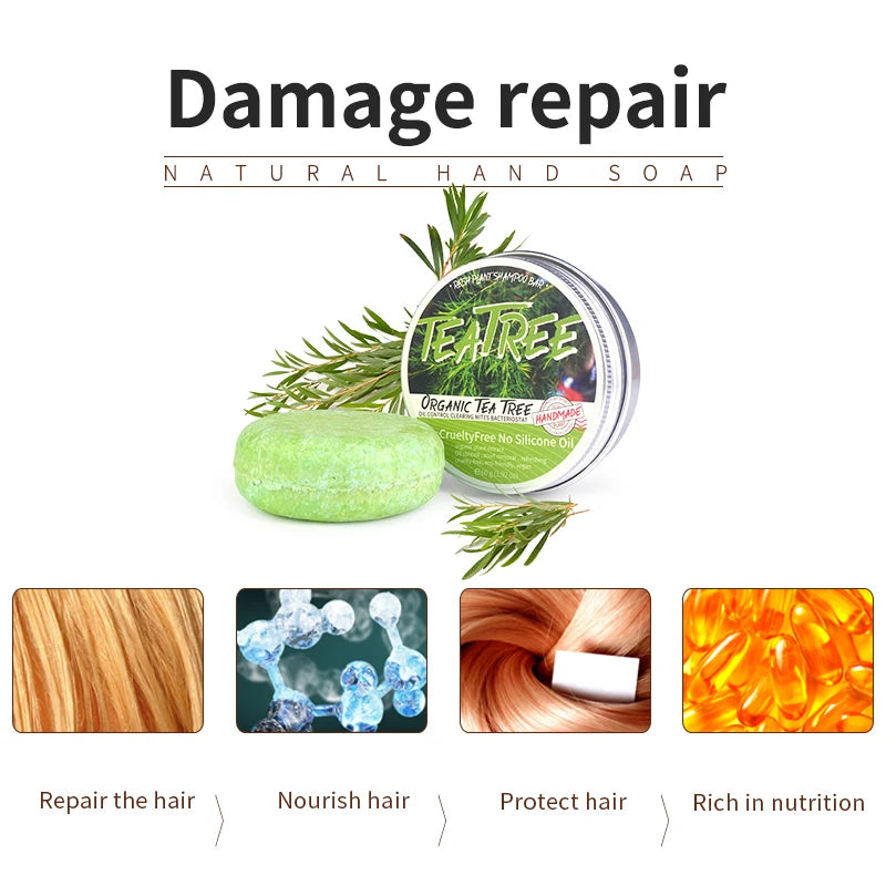 O champô vegetal com óleo essencial de árvore do chá é refrescante, controla a oleosidade, reduz a caspa e fortalece o cabelo