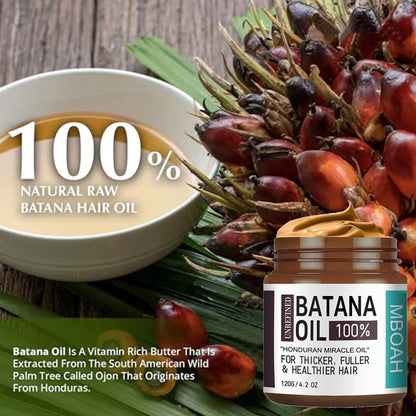 Óleo de Batana 100% de Honduras - Obtenha cabelos mais cheios, grossos e saudáveis - Condicionador Great Men Haircare Silky - Óleo de nutrição capilar ✨